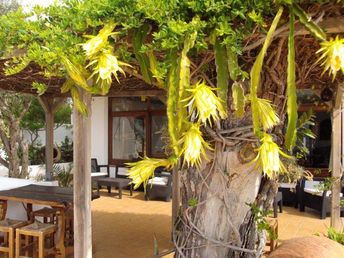 Pension Hostal Marblau (Spanje Ibiza-stad) - Booking.com