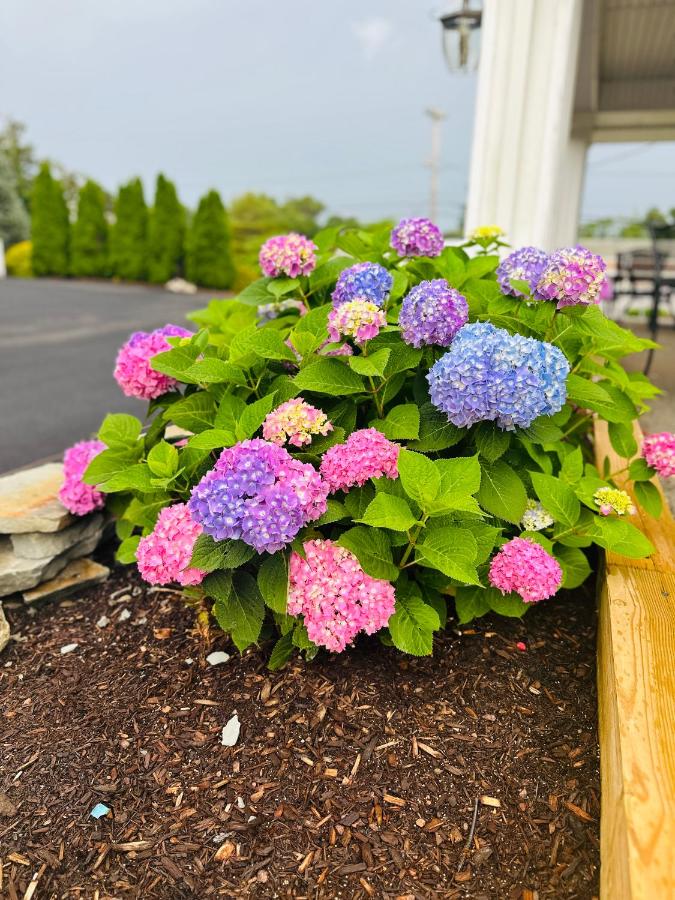 Blue Spruce Motel — photo 11