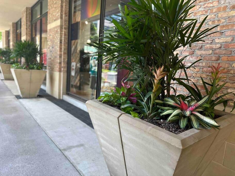Luxury Living at City Centre Houston — photo 23