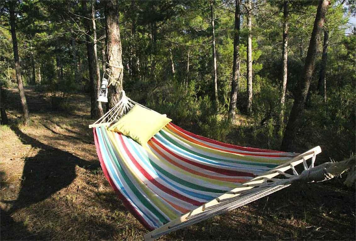 Forest Days, Navés – Updated 2022 Prices