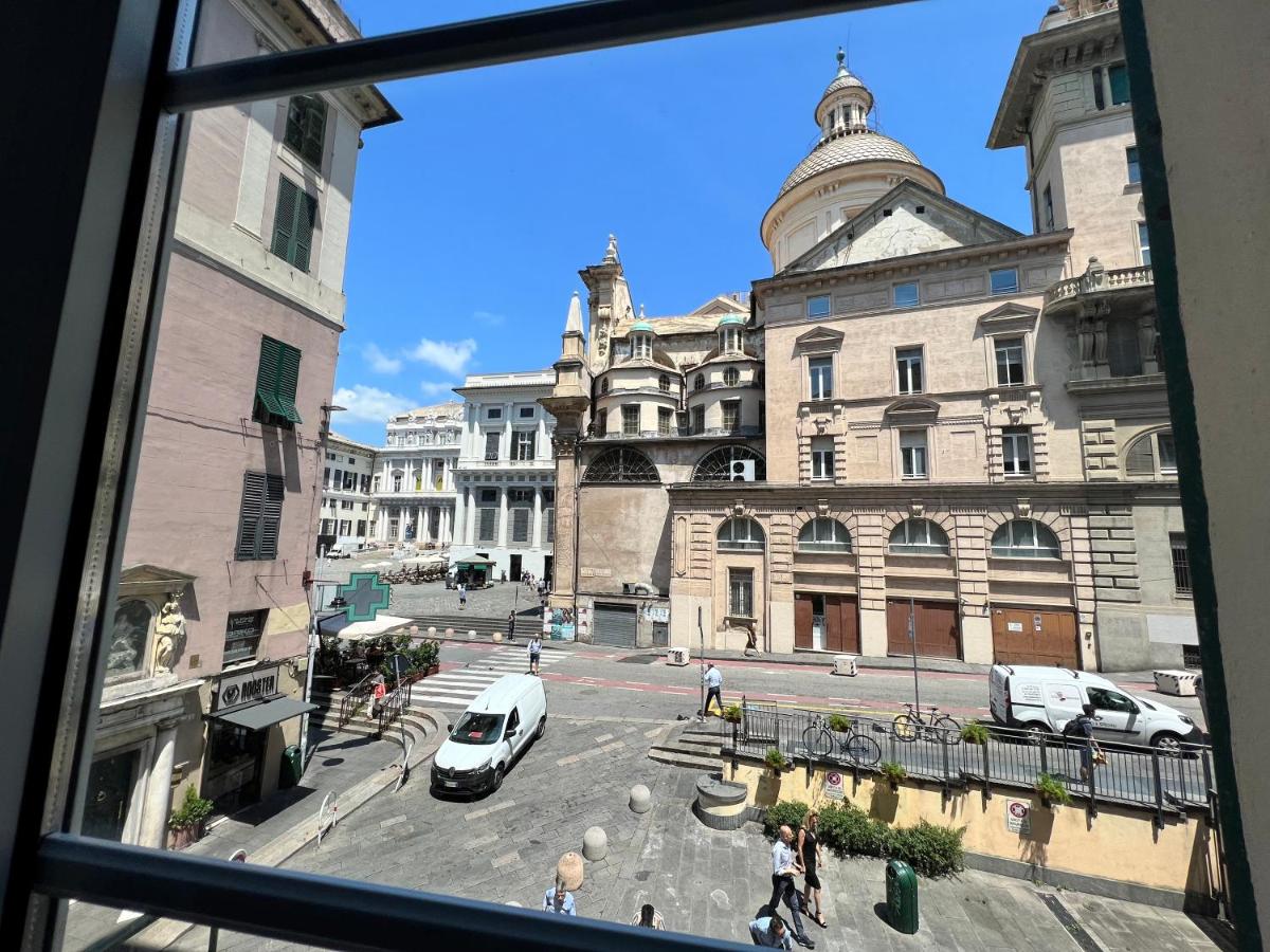 House Doge Antonino by Holiday World - 2