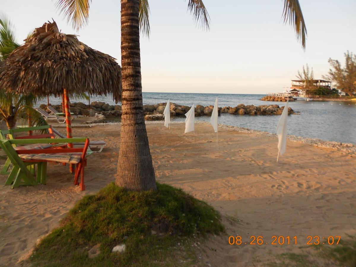 Pipers Cove Resort - 5