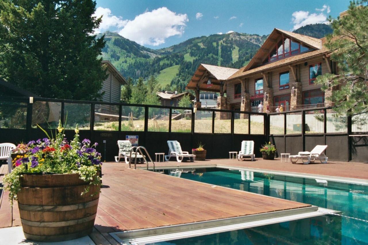 Heated swimming pool: The Alpenhof