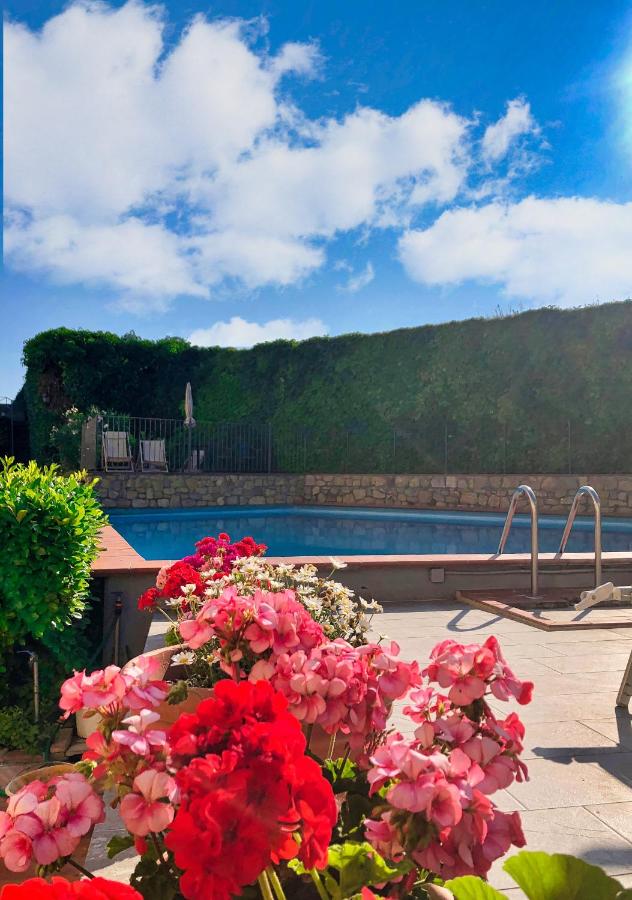 Hotel San Lino photo
