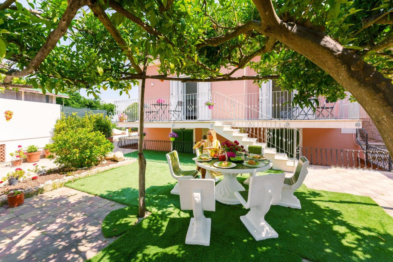 Le Jardin photo