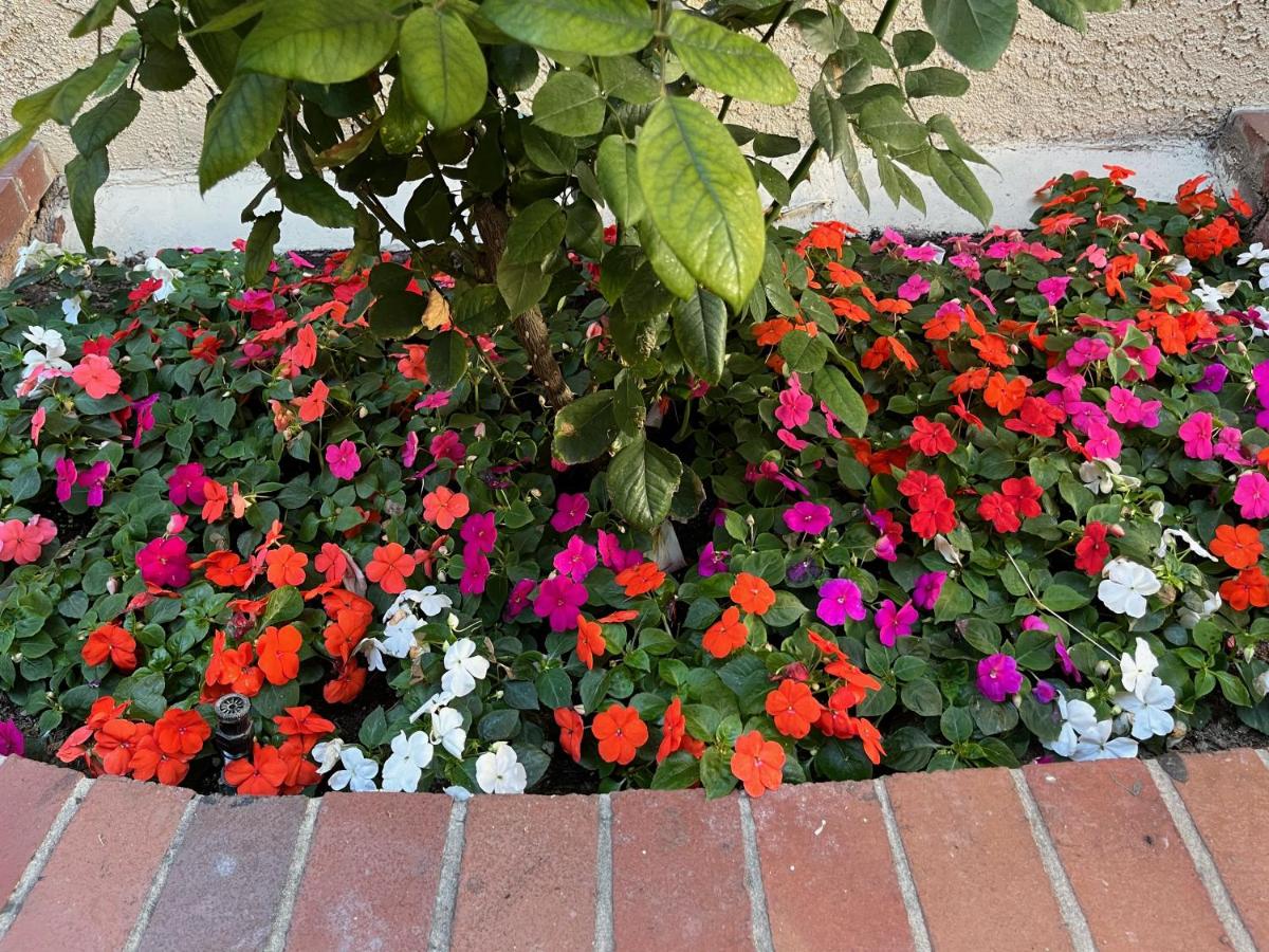 Laguna Inn and Suites — photo 13