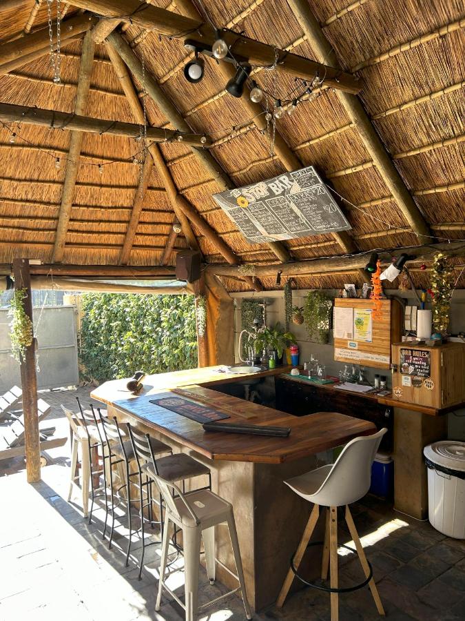 A Sunflower Stop Backpackers - 5