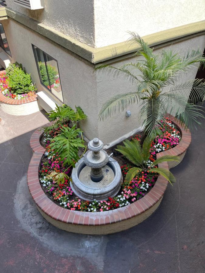 Laguna Inn and Suites — photo 18