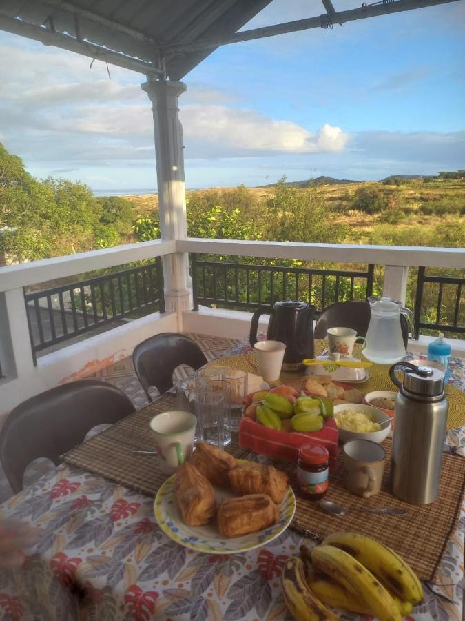 Sur la route des tortues - 4