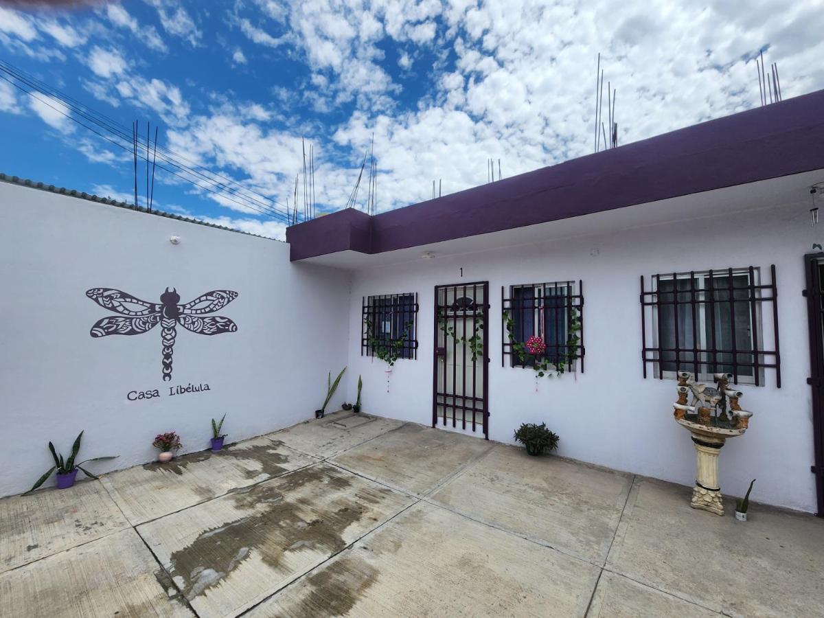 Casa Libélula 