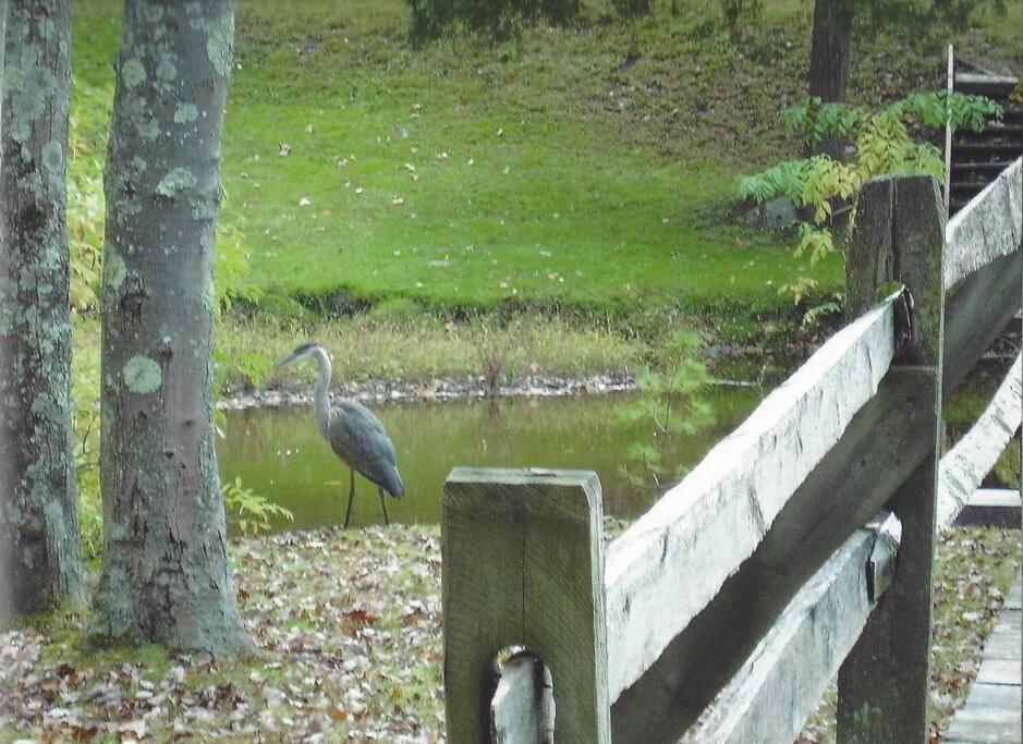 The Cottage at Millpond Falls - Romantic Luxury B&B in Warwick NY — photo 20