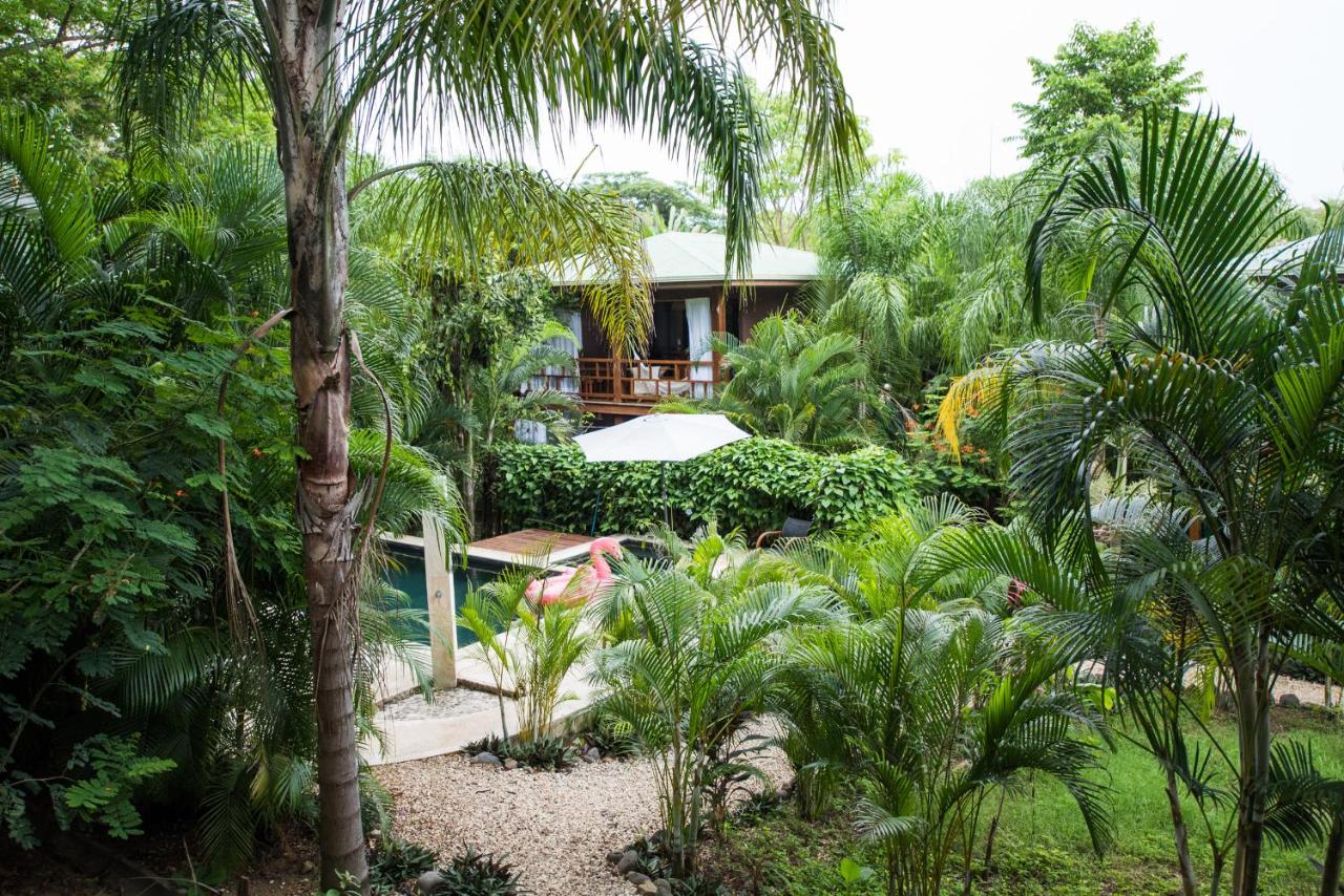 Ohana Villas photo