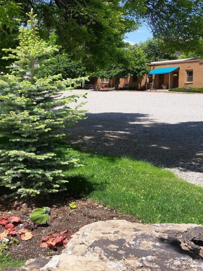 Stone Lizard Lodge — photo 23