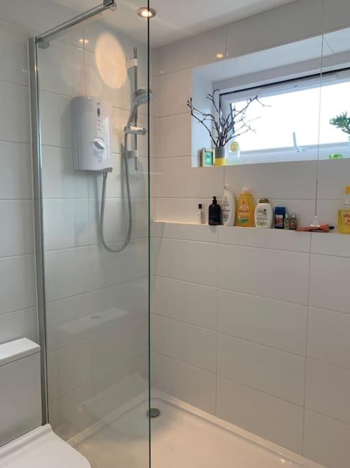 Lovely 1 Bedroom Flat in zone 1/2 London - 3