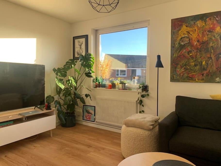 Lovely 1 Bedroom Flat in zone 1/2 London - 5