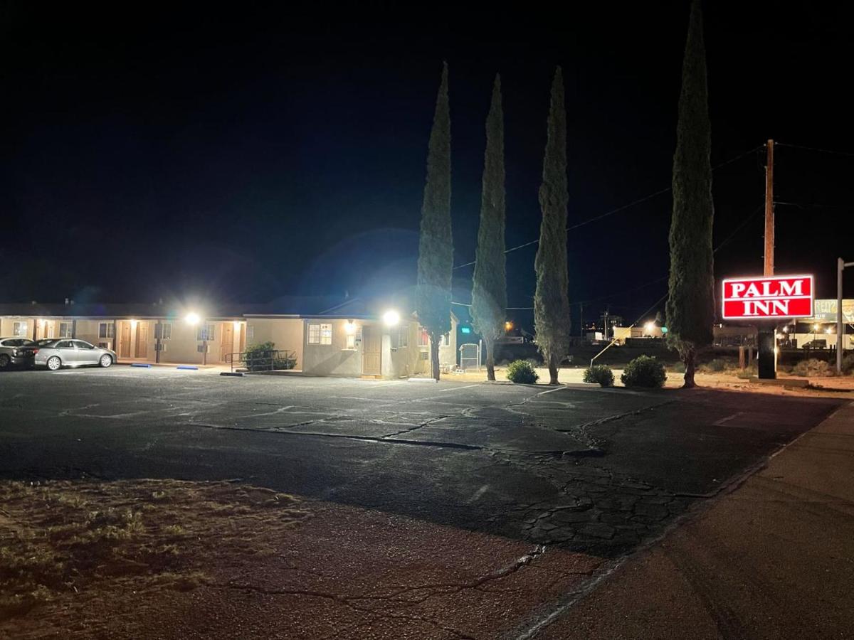 Palm Inn — photo 21