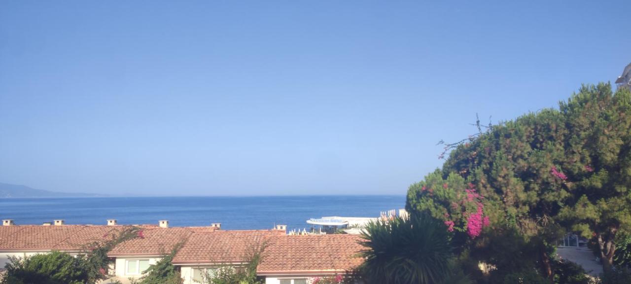 Sea Breeze Apartment Bougainville Bay photo