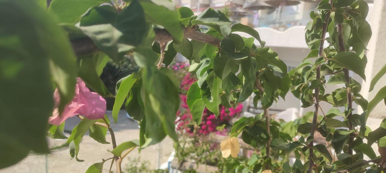 Sea Breeze Apartment Bougainville Bay photo