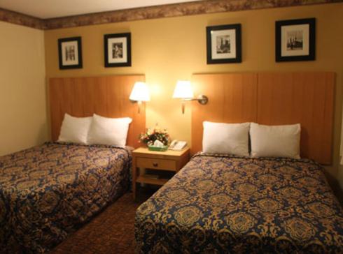 Stardust Motel — photo 14
