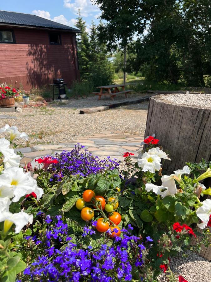 Bear Country Inn — photo 19