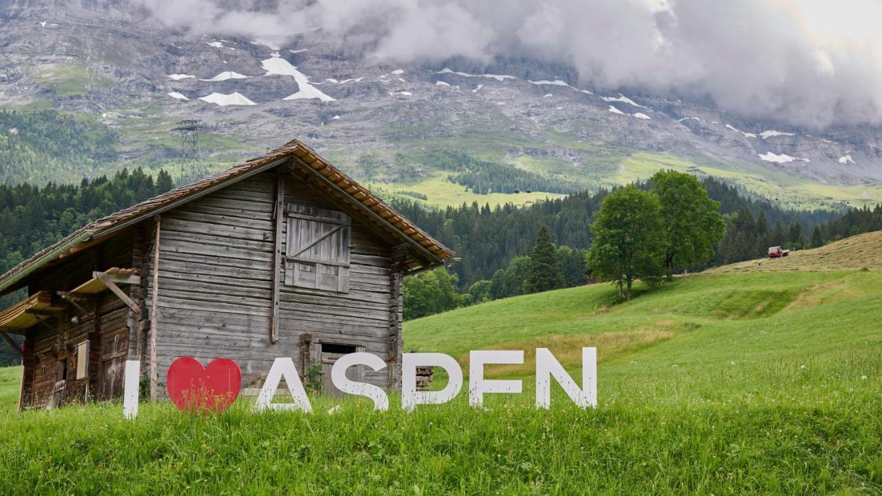 Aspen Alpine Lifestyle Hotel photo