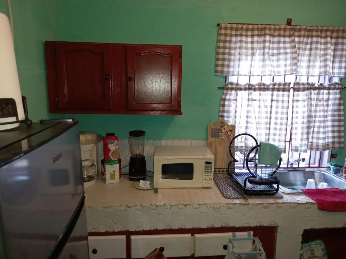 Buckingham Villa & Suites Room # 6- Garden View - 4