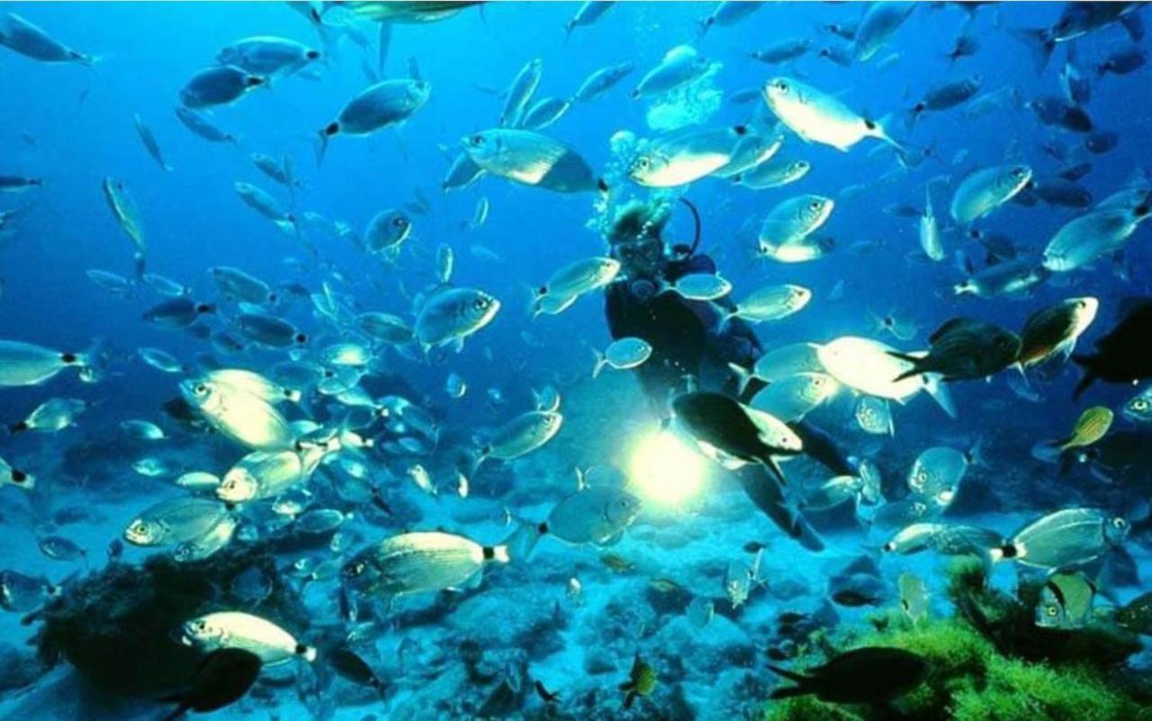 Estudio Jimena Calahonda en el centro de Nerja - 5