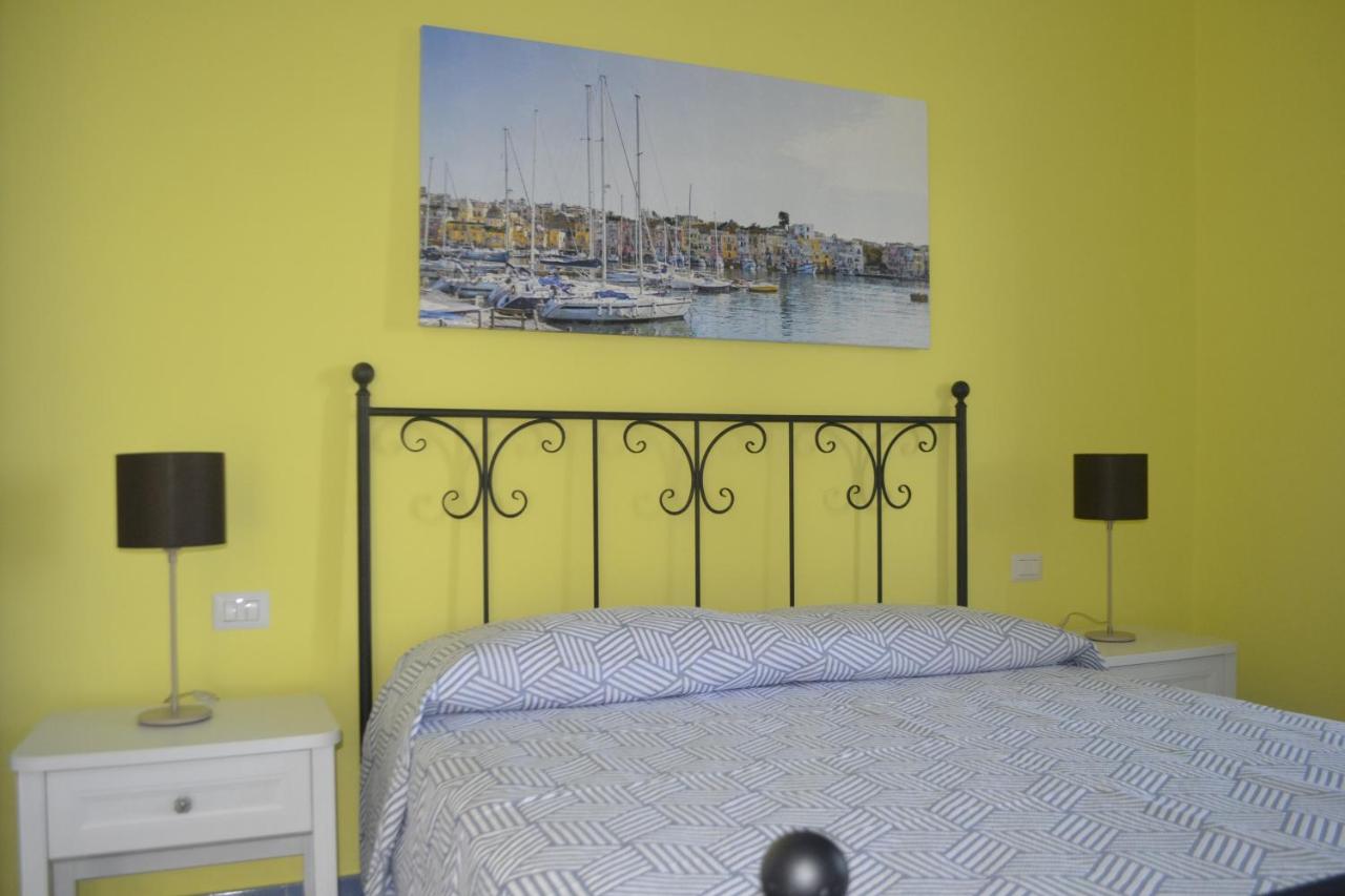 Il Leone Di Mare photo