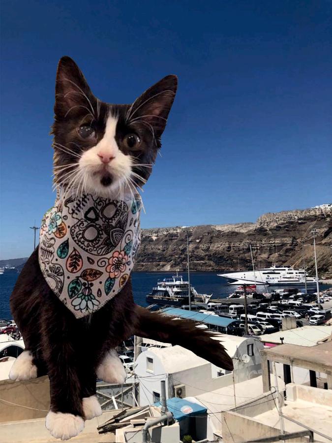 Poudras Amazing View Caldera - 3