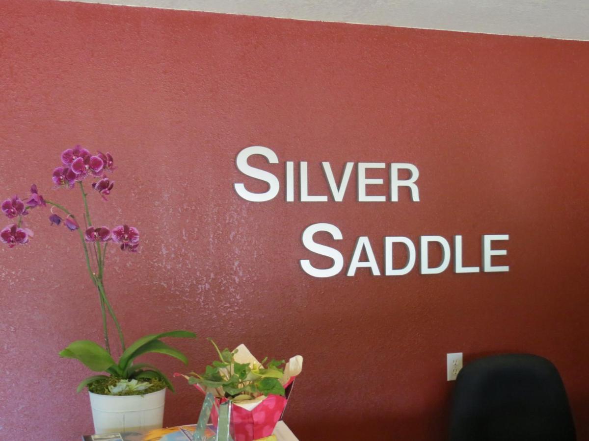 Silver Saddle Motel — photo 20