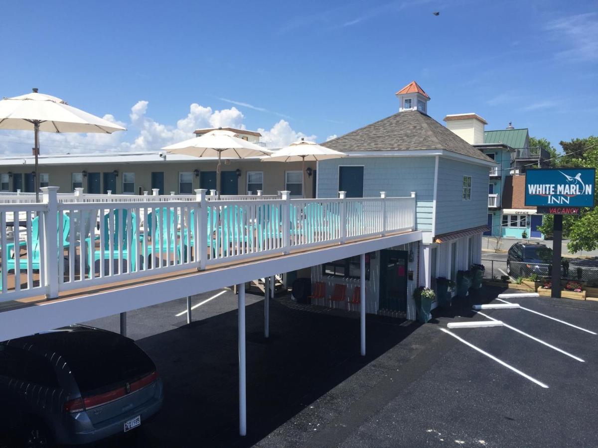 White Marlin Inn — photo 21