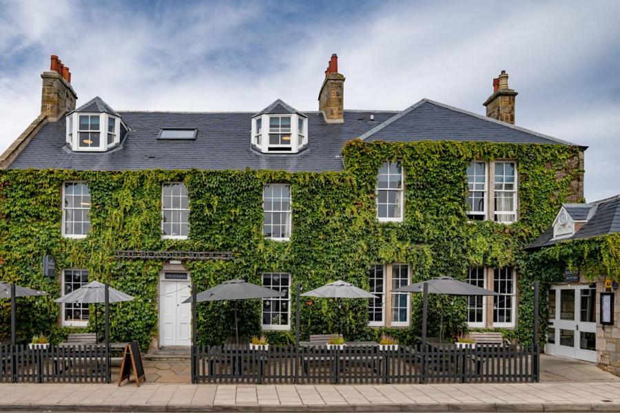 The Bonnie Badger in Edinburgh - Flavor, flair, and five-star comfort on the Scottish coast.