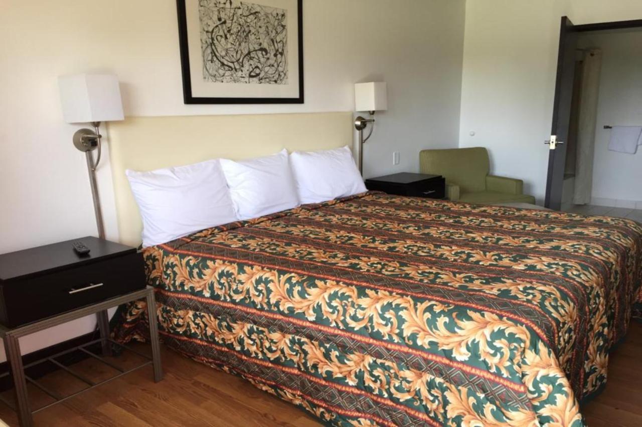 Webster's Inn — photo 17