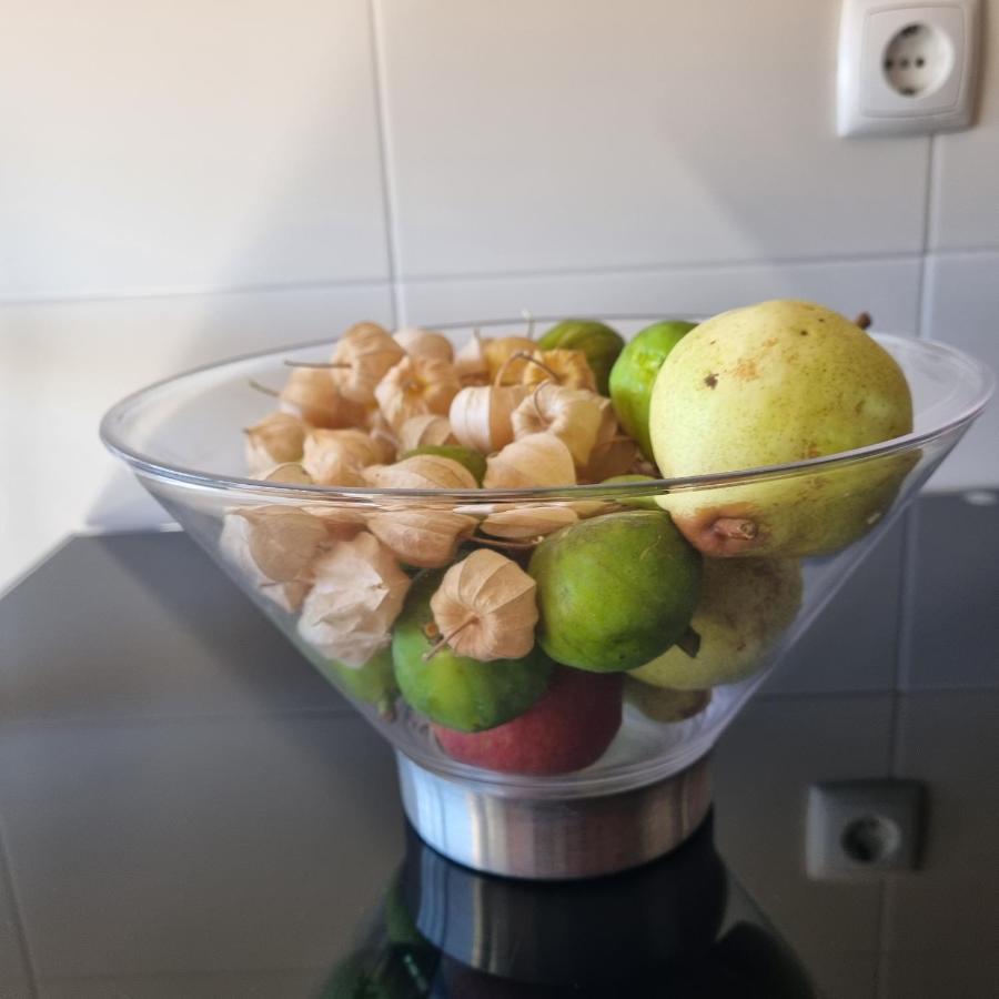 Sun House Belem - Free Parking and View Tower - 2