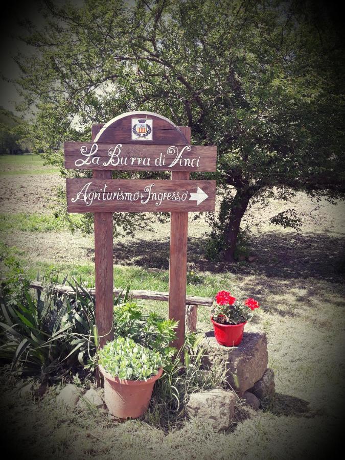 Agriturismo La Burra di Vinci "Arco" - 5