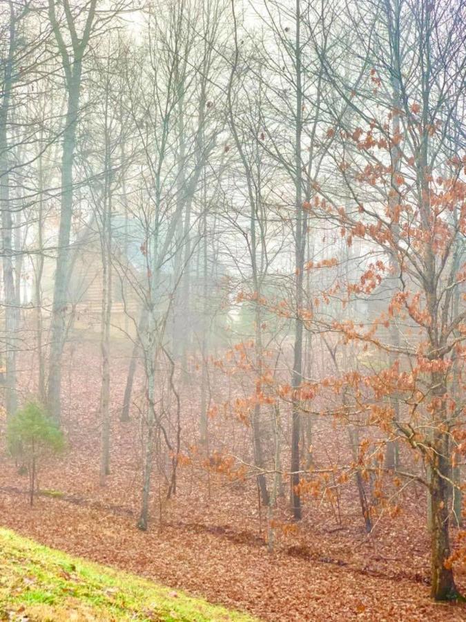 Shenandoah Wilderness Traveler — photo 16
