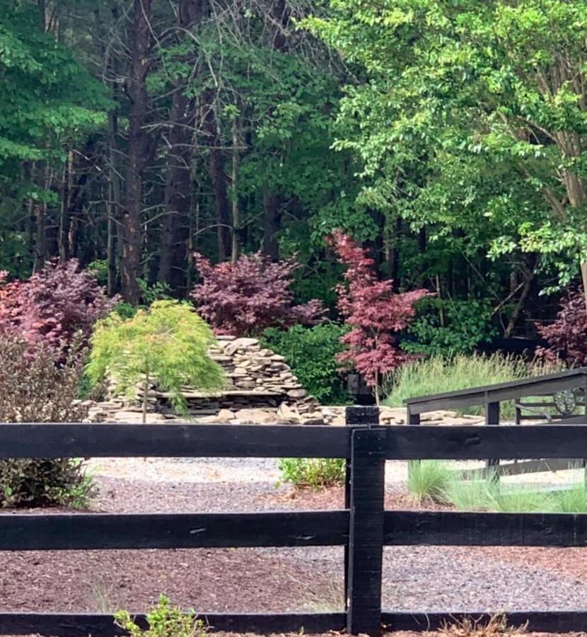 Shenandoah Wilderness Traveler — photo 17