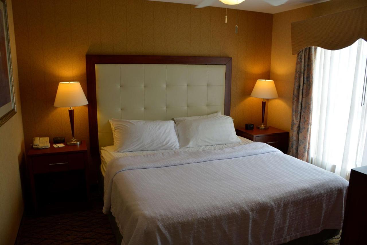 Homewood Suites by Hilton® Brighton - Laterooms