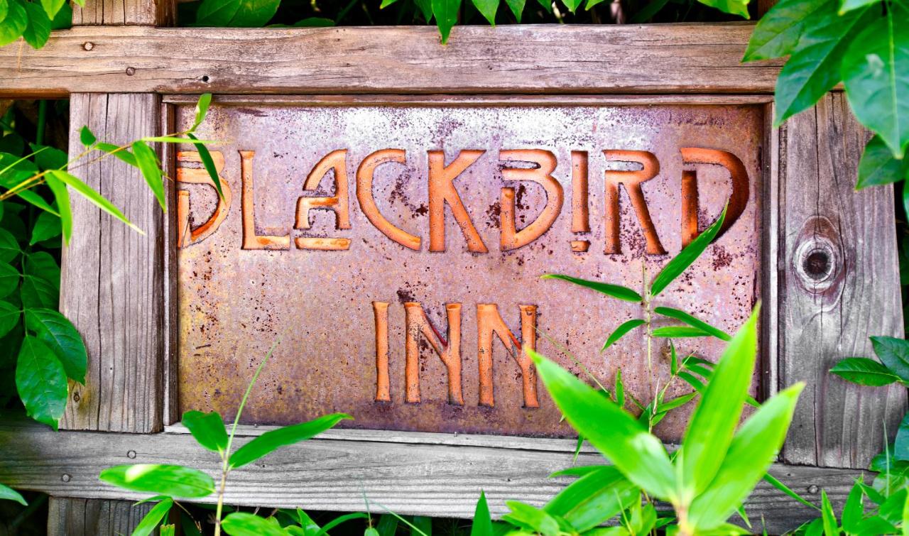 Blackbird Inn — photo 8