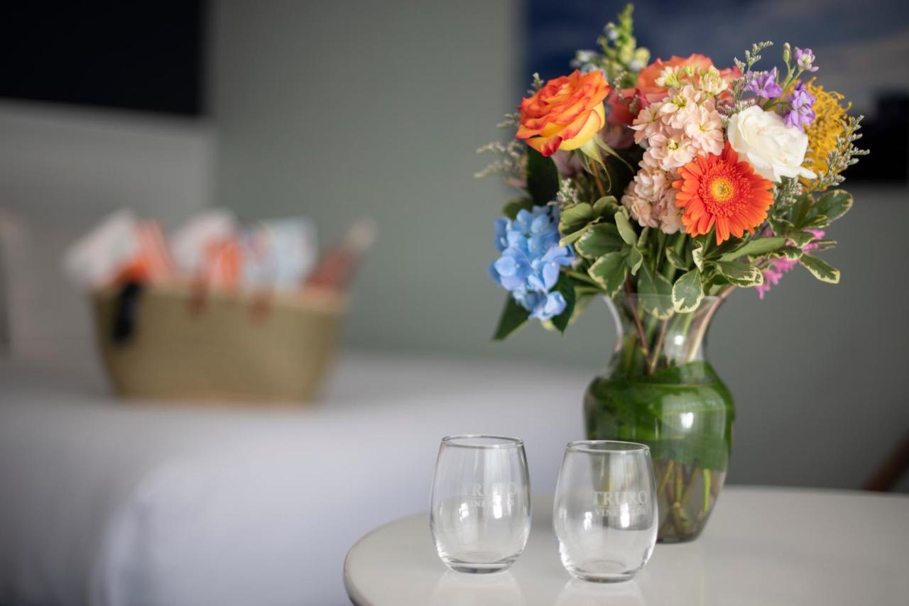 Cape Colony Inn — photo 18