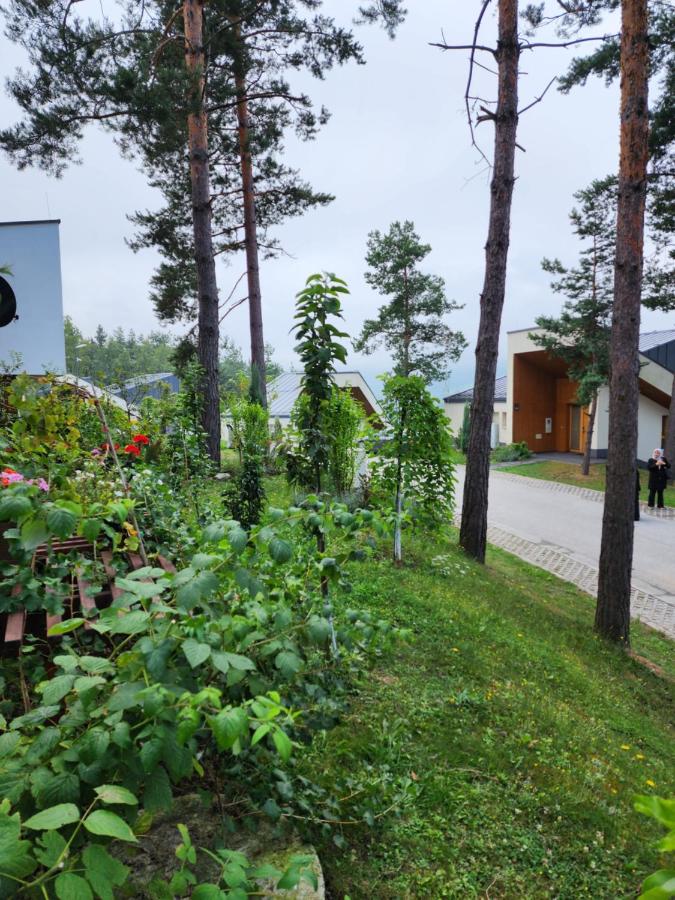 Tarcin Forest Resort Villa No 303 photo