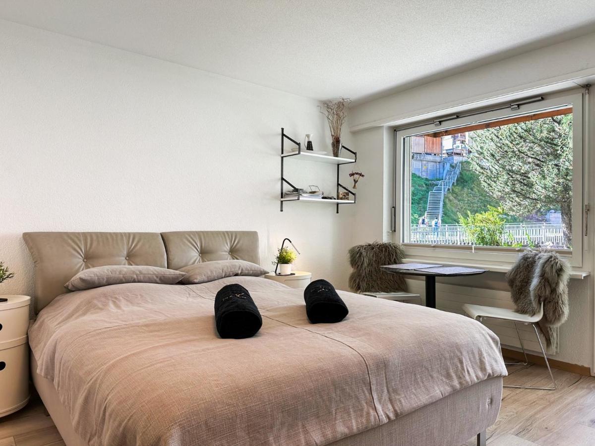 Studio Marmotta - Zermatt - 2