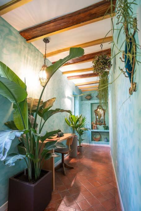 PgrHome Colosseo 11 BLU - 3