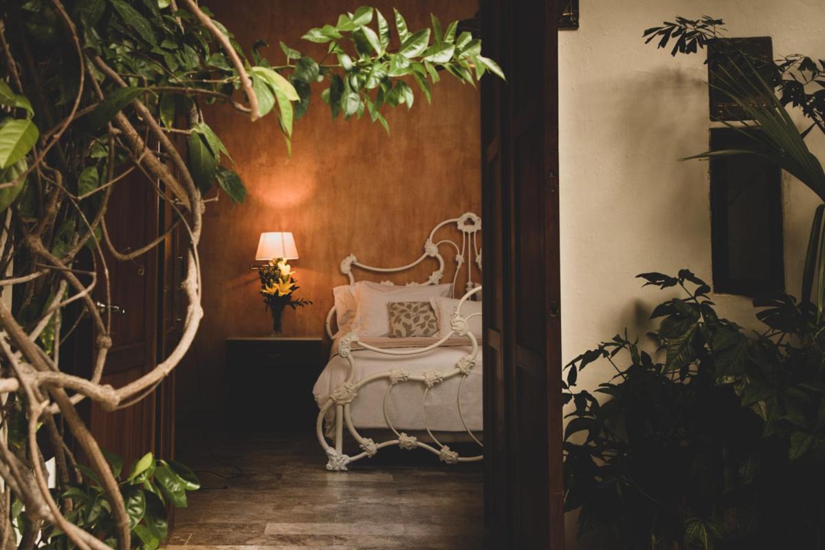 Hotel Boutique Casa Del Arzobispado photo