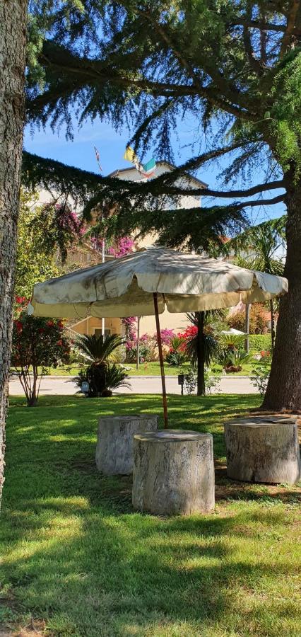 Hotel Mediterraneo photo