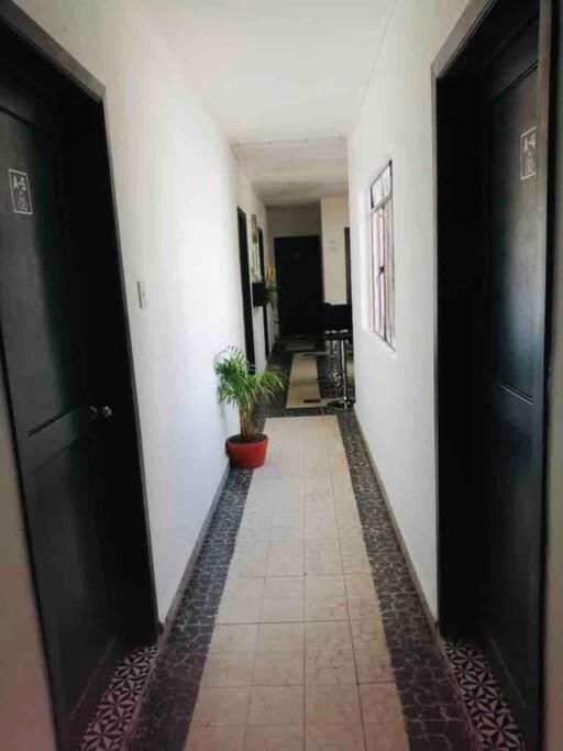 A4 Habitacion en Condesa Amsterdam - 4