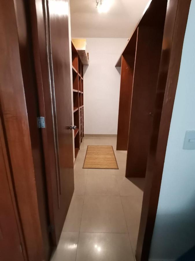 Amplio y Moderno en Antara, Carso y Embajada EEUU - 2