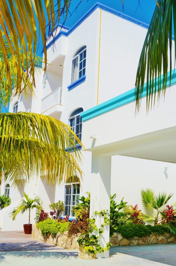 Corales Suites photo