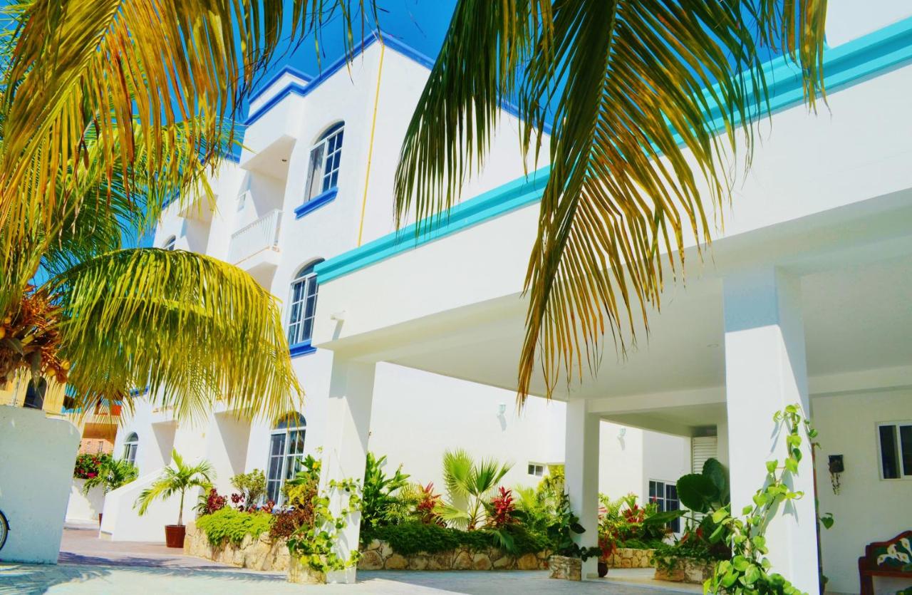 Corales Suites photo