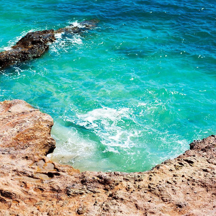Sea of Cortez Beach Club photo